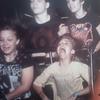 44947 - Popular rollercoaster, lol, funny roller coaster picst - 7