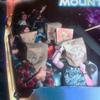 Lolercoasters-com-a42a1a